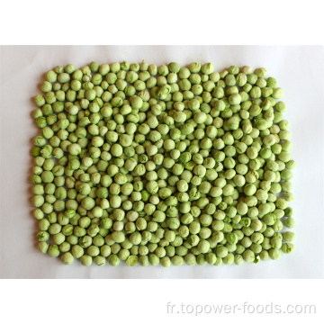 Pea vert séché en gros de haute qualité de haute qualité